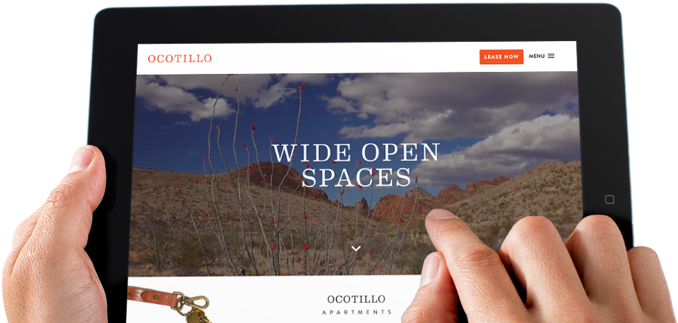 Ocotillo